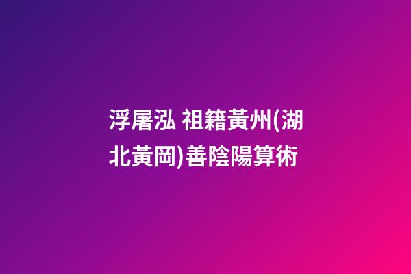 浮屠泓 祖籍黃州(湖北黃岡)善陰陽算術